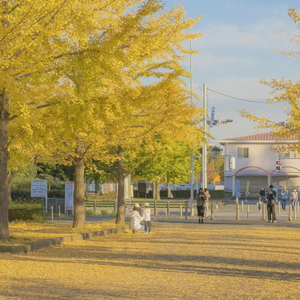优秀处女开苞高潮毛片

