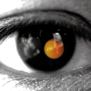 十八禁🔞网站视频
