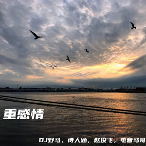 我要看逼视频免费的。
