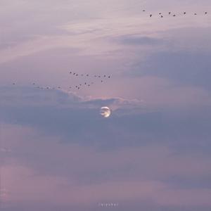 裸体女人被肏屄视频网站
