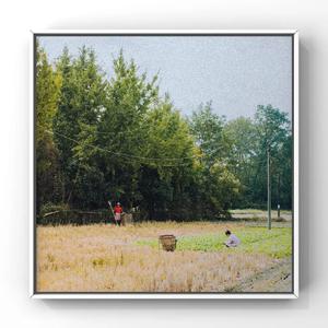 富二代成版人安卓
